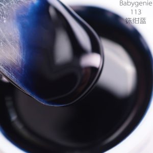 babygenie113