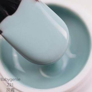babygenie221