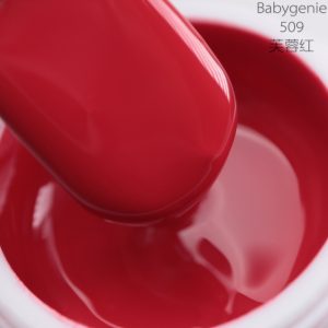babygenie509