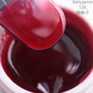 babygenie538
