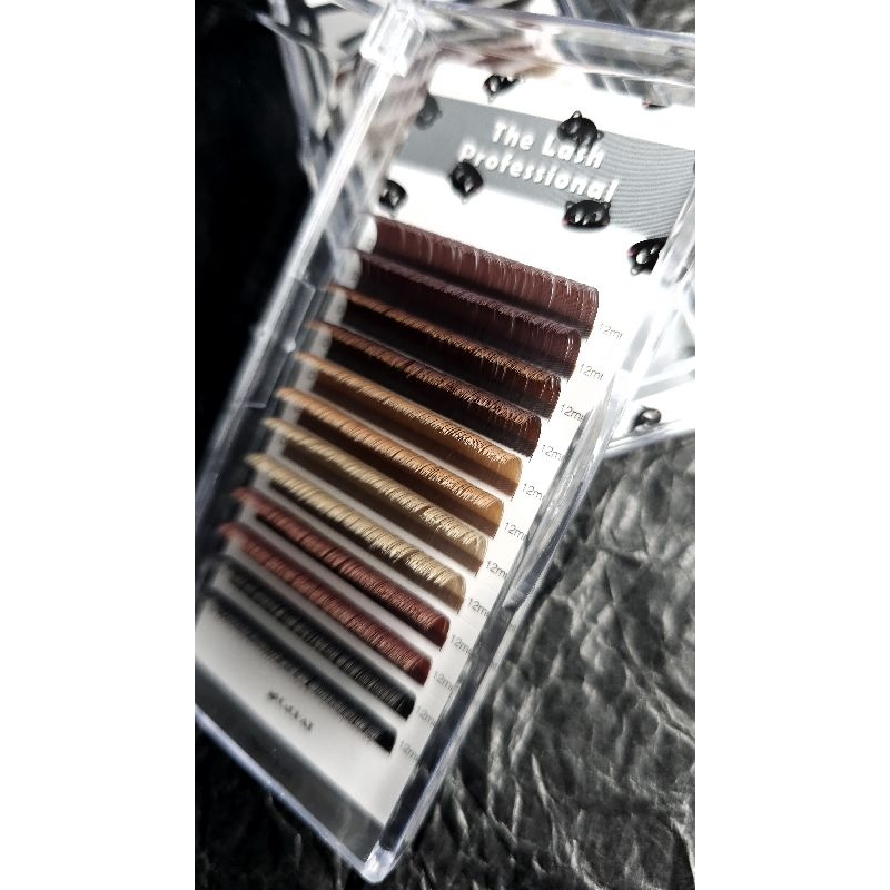 Autumn Black & Brown 秋‧ 黑棕扁毛