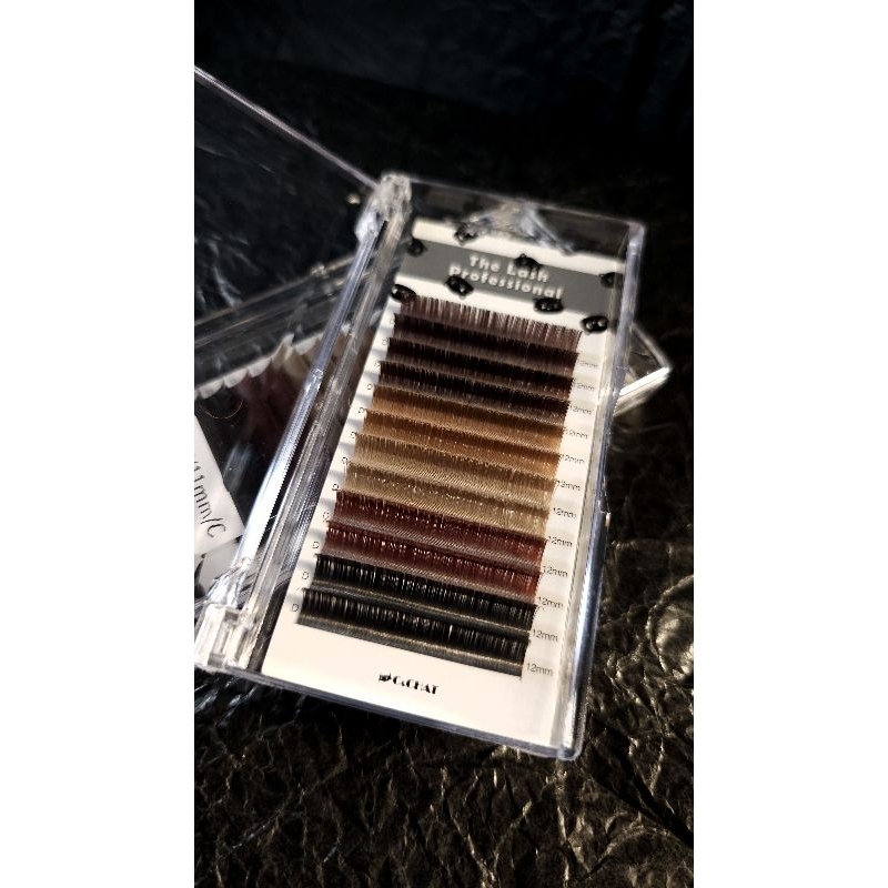 Autumn Black & Brown 秋‧ 黑棕扁毛