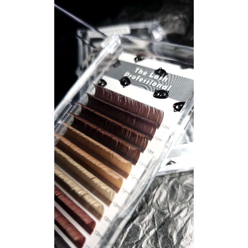 Autumn Black & Brown 秋‧ 黑棕扁毛