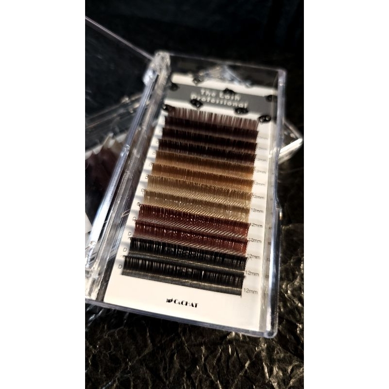 Autumn Black & Brown 秋‧ 黑棕扁毛